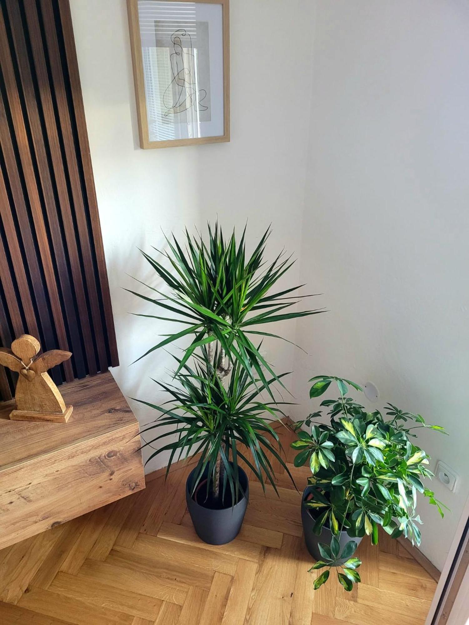 Novy Apartman Eva Jičín Extérieur photo