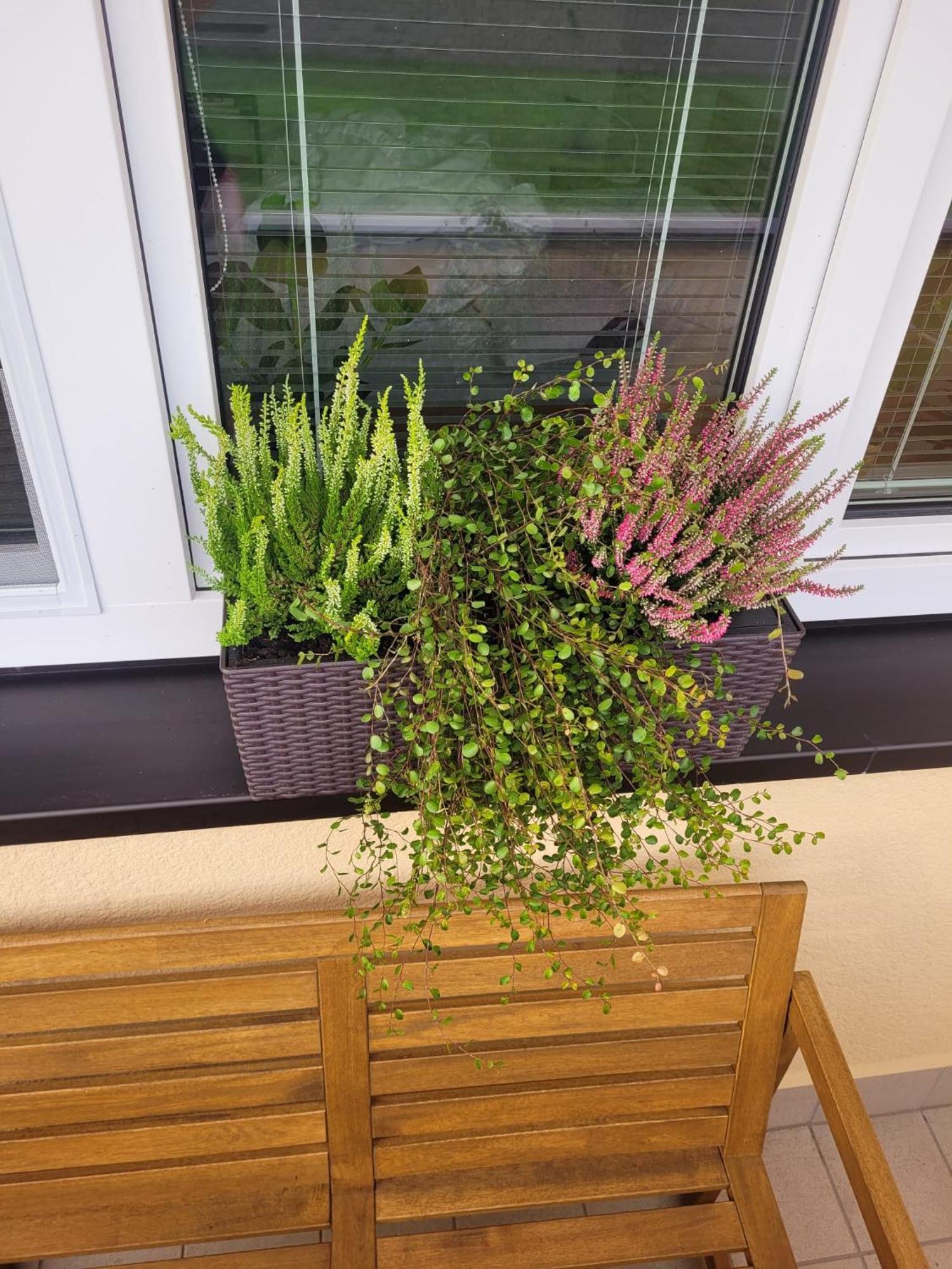 Novy Apartman Eva Jičín Extérieur photo