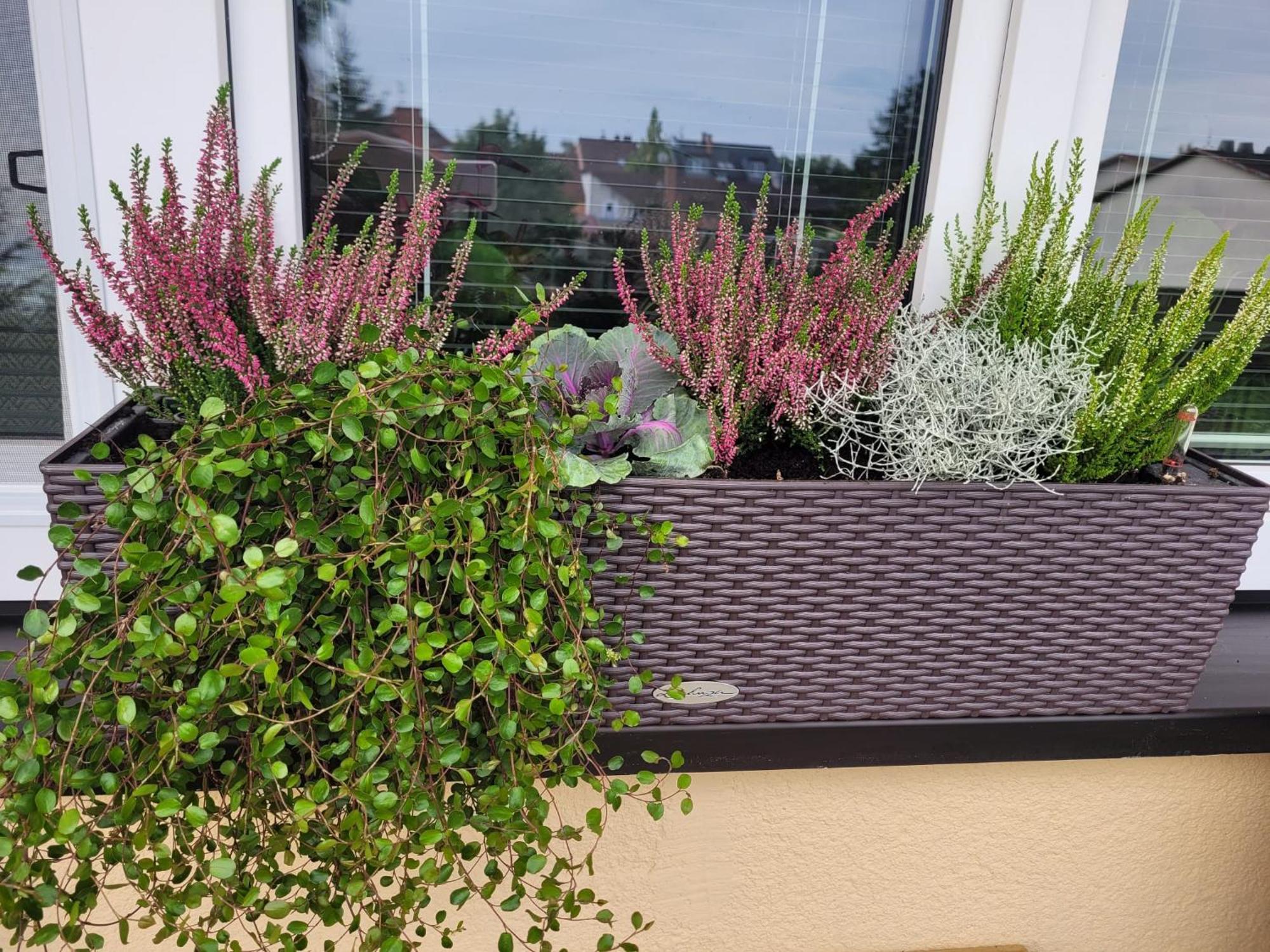 Novy Apartman Eva Jičín Extérieur photo