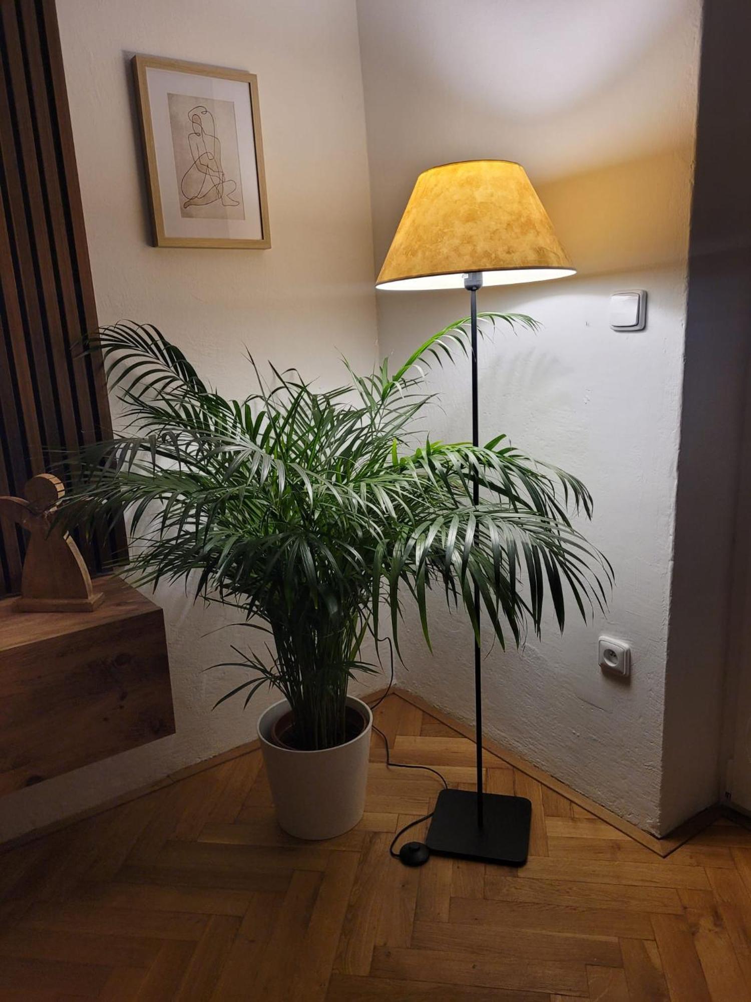 Novy Apartman Eva Jičín Extérieur photo