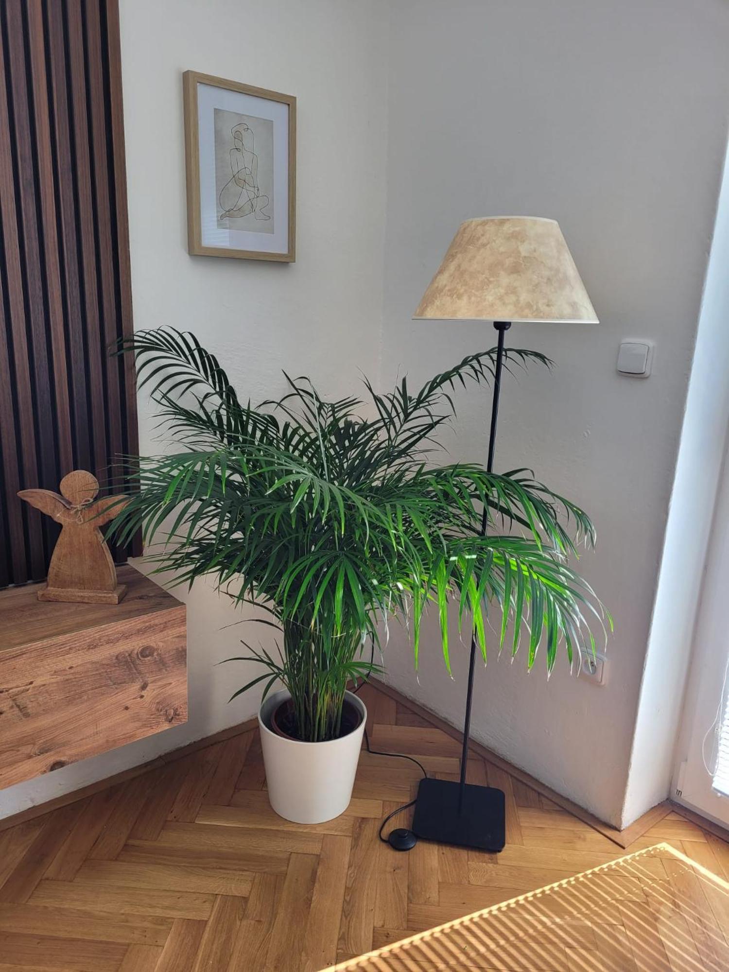 Novy Apartman Eva Jičín Extérieur photo